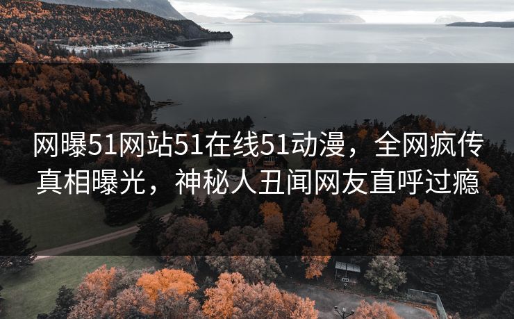 网曝51网站51在线51动漫，全网疯传真相曝光，神秘人丑闻网友直呼过瘾